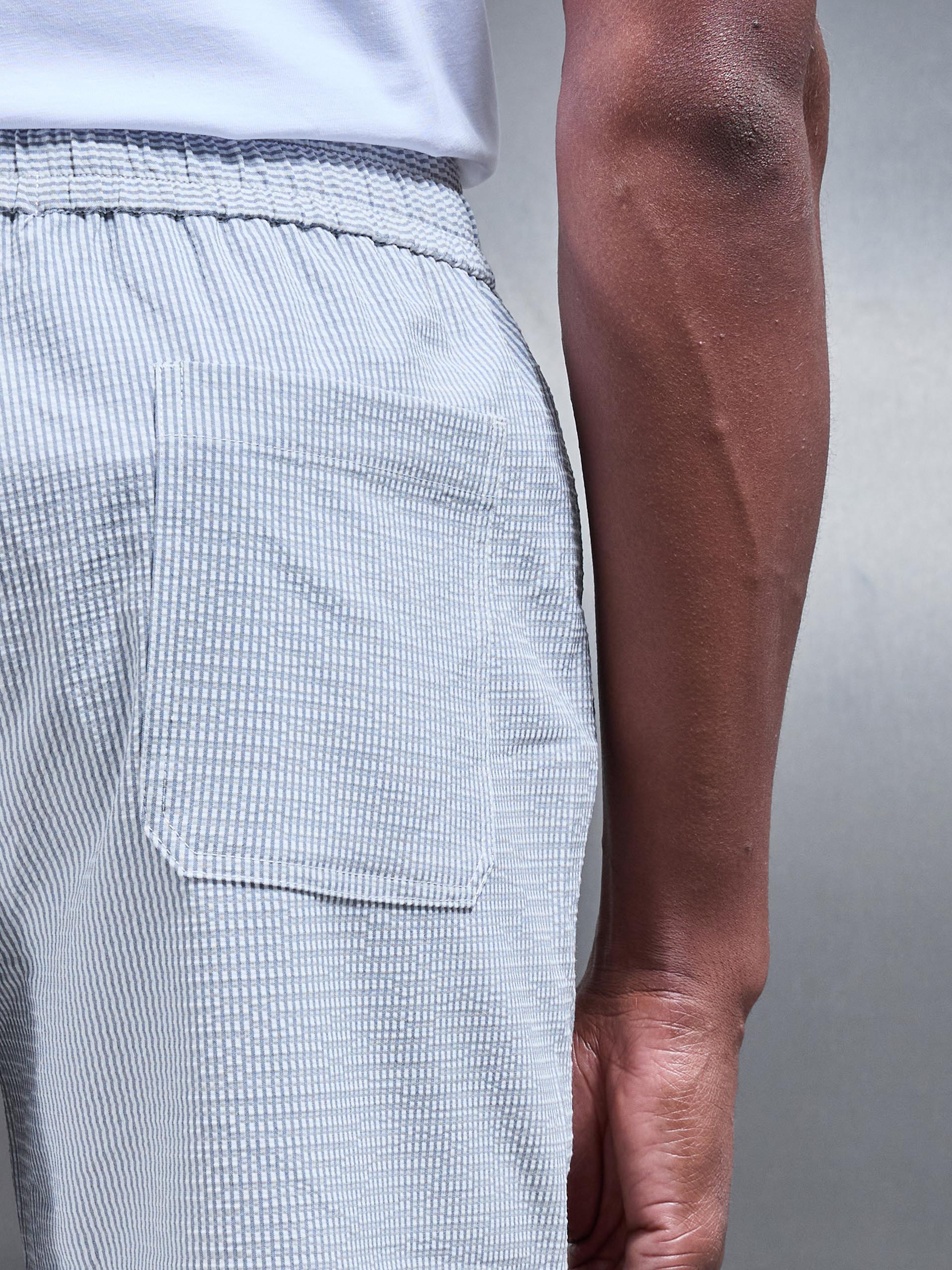 Seersucker Stripe Short in Blue