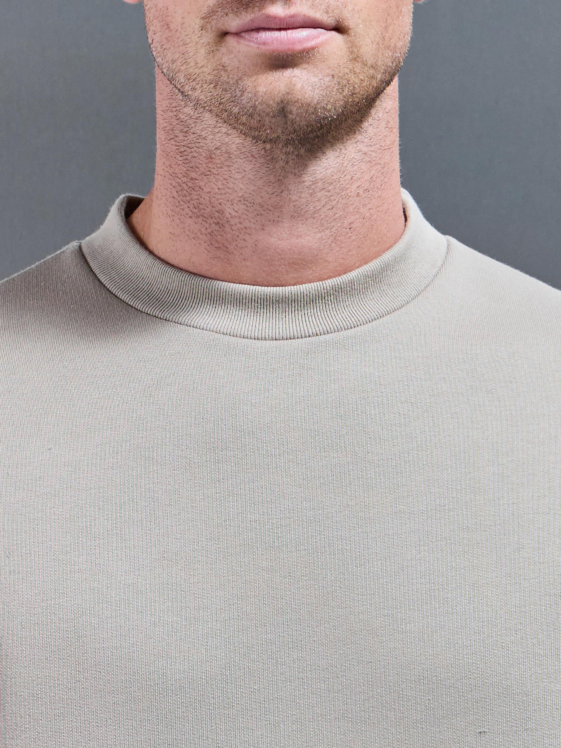 Relaxed Fit Sweatshirt in Stone